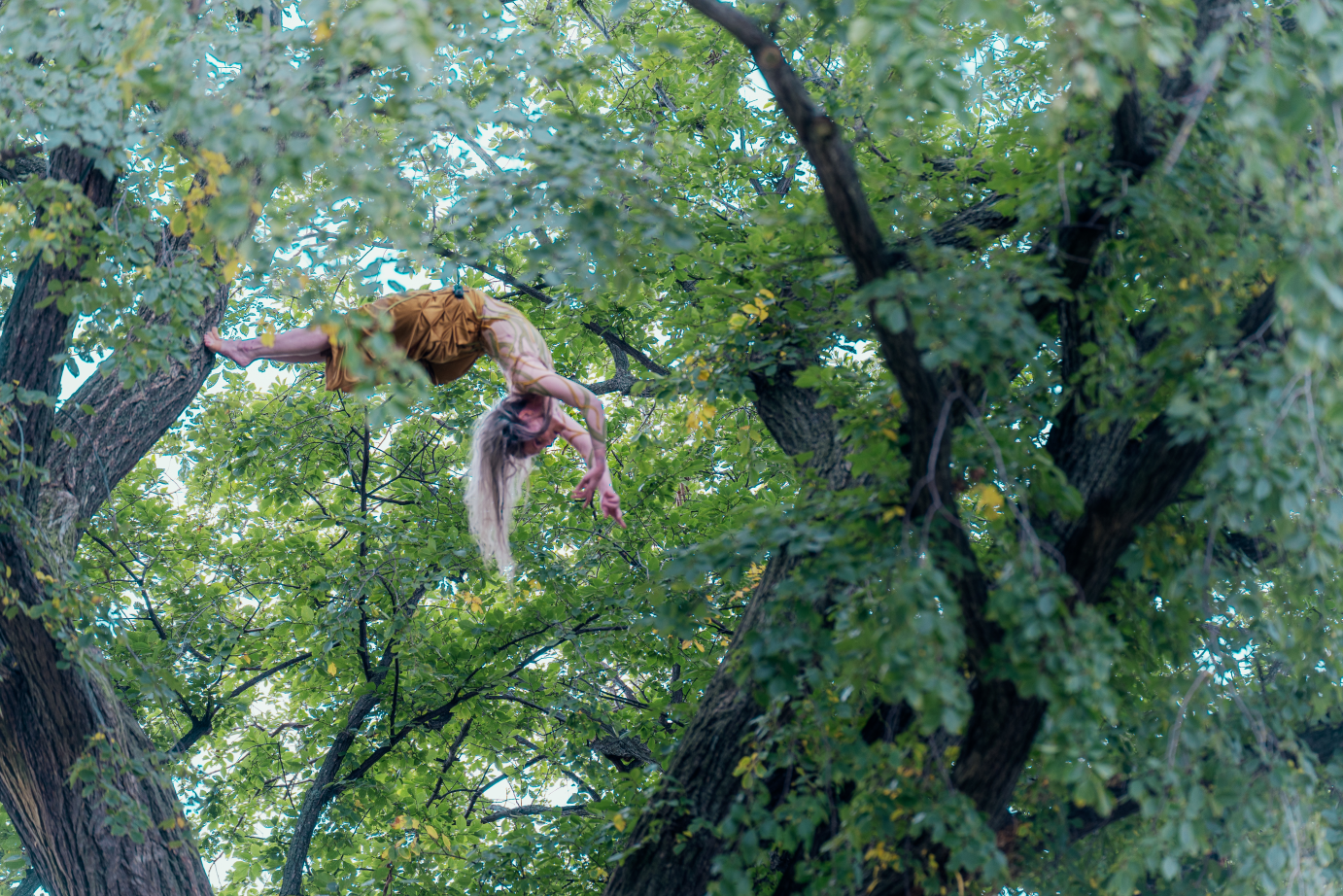 Lisa Giobbi is high in a tree, her body parallel to the ground. Both arms are extended, and her back is arched.